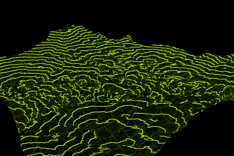 Acid-green contour lines trace a changing terrain against a black background.